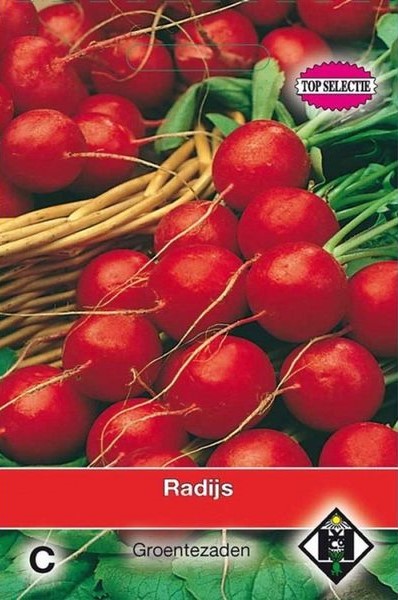Radijs