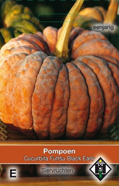 Pompoen