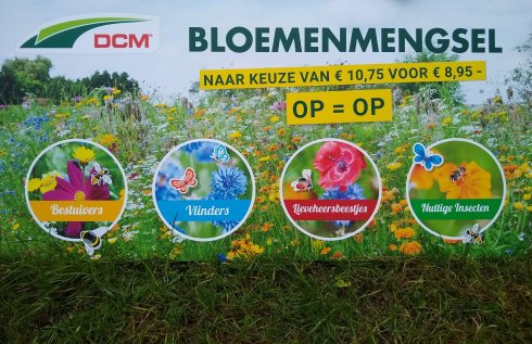 DCM actie